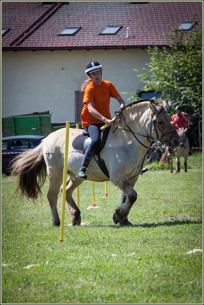 Mounted Games 094